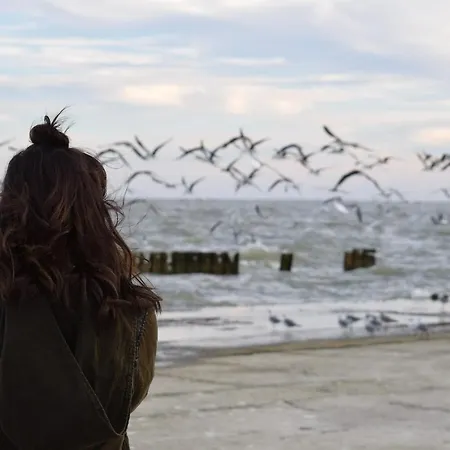 White Pearl 1.07 Apartment