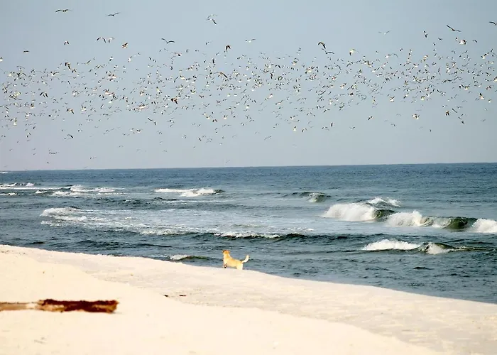 Διαμέρισμα White Pearl 1.07